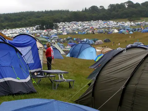 Rows of tents and picnic tables on a grassy campsite with woodland beyond